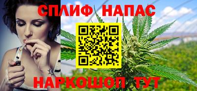 прущие грибы Дубна