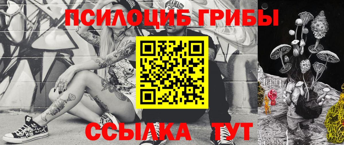 Галлюциногенные грибы MAGIC MUSHROOMS Нижний Новгород